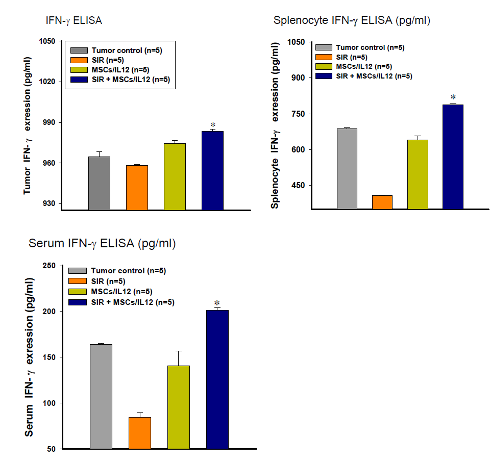 방사선 조사와 MSCs/IL12의 병행 처리에 의한 종양 미세환경 내 인터페론 감마의 증가. SIR: 10 Gy single irradiation