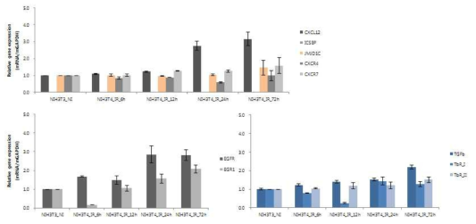 방사선 조사 후, NIH3T3 세포에서 CXCL12 유전자를 포함한 다양한 유전자들의 발현 변화 양상