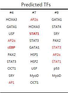 Hca1 세포주에서 CXCL12 유전자 프로모터 영역의 히스톤 변형 변화를 통한 유전자 발현 조절에 관여할 가능성이 높은 전사인자 예측 (전사인자는 각각 특이적인 DNA 서열에 결합함으로, 히스톤 변형 부위의 서열 중 특이 전사인자가 결합할 수 있는 서열을 선정함)