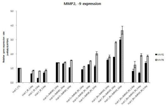 방사선 조사 전후 MMP-2 및 MMP-9의 발현 분석
