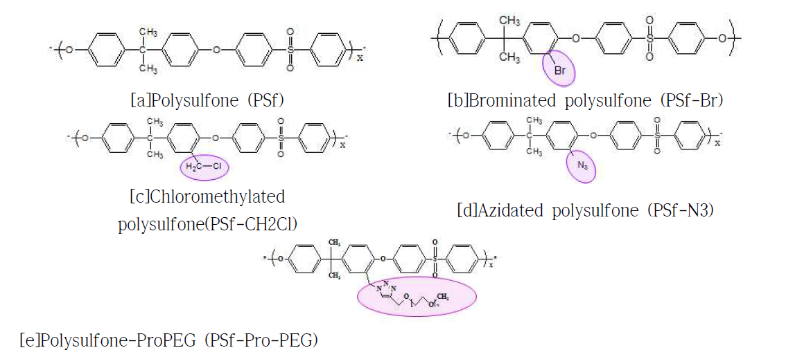 Functionalized PSf 의 제조