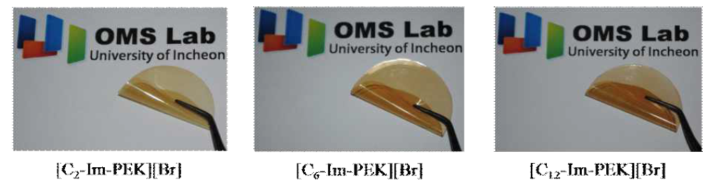 alkyl imidazolium계 이온성 액체가 고분자의 곁 사슬에 도입된 고분자 poly(ether ketone) (Im-PEK)