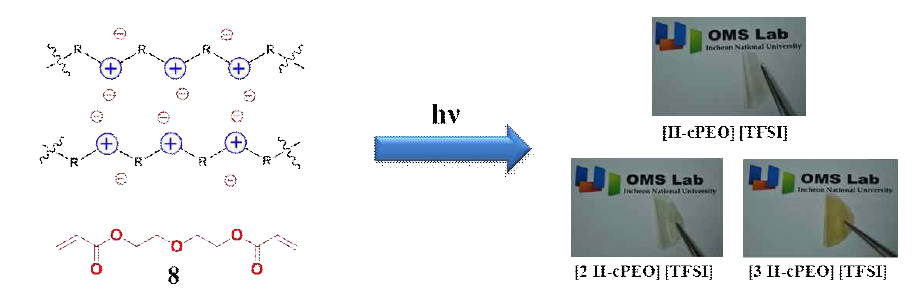 Schematic diagram for the preparation of the II-cPEO blend membranes ([II][TFSI], [2II][TFSI], and [3II][TFSI]) and their photographs