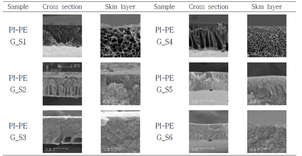 PI-PEG flat sheet membrane의 모폴로지 분석