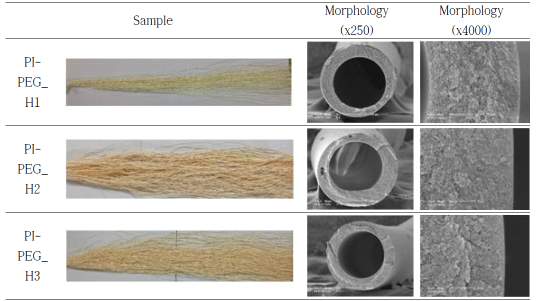 PI-PEG계 중공사막의 제조 및 모폴로지 확인
