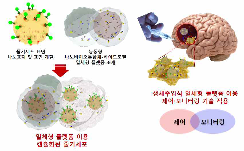 선행 기획 대상 기술의 개요