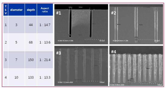 Through Silicon Via etch 결과