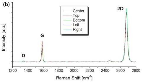 4인치 웨이퍼의 5포인트(가운데, 가운데에서 3cm 떨어진 동서남북) 라만(Raman) 스펙트럼 데이터