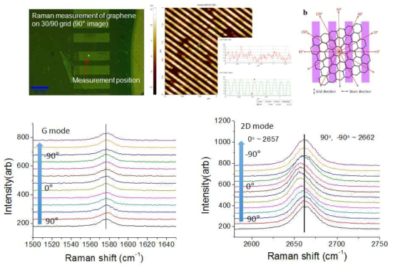 하부의 주기성 나노구조 제작 및 편광각 변화에 따른 그래핀 라만 신호의 위치 변화 측정