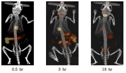 Micro-SPECT/CT images of I-123 labeled rutin in the ICR mouse after injection