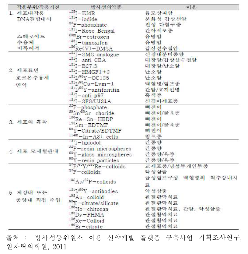 치료용 방사성의약품의 활용