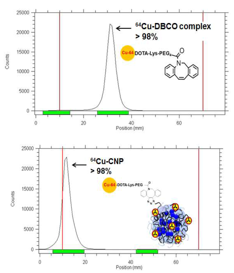 Radio-Thin layer chromatography (Radio-TLC)를 이용한 방사성동위원소 표지 확인