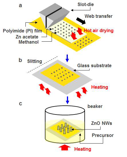 Zn seed 코팅 및 수열합성법 (a) 슬롯-다이 이용한 seed 코팅, (b) 슬리팅 및 추가 건조, (c) 수열합성