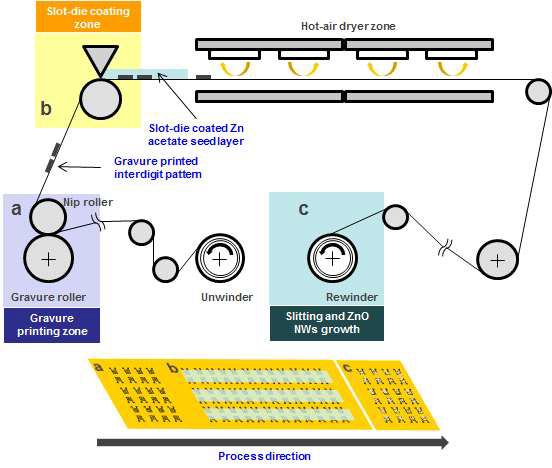 롤투롤 하이브리드 인쇄 및 코팅 공정 (a) 전극의 그라비어 인쇄, (b) seed 파티클의 슬롯-다이 인쇄, (c) 감김 후 ZnO NW 수열합성