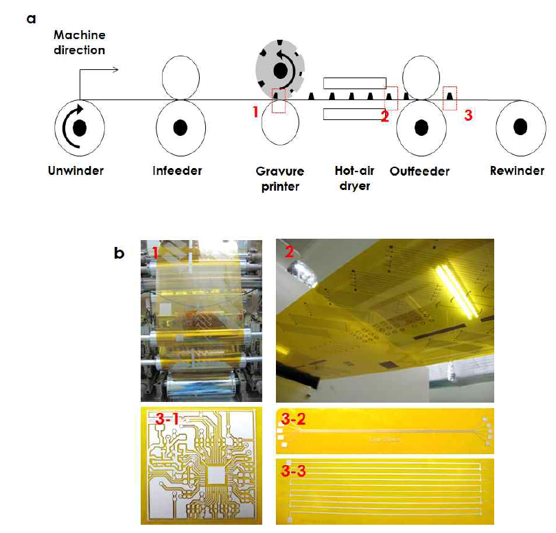 (a) 그라비어 인쇄 개략도, (b) 롤투롤 인쇄 공정 (1: 그라비어 인쇄, 2: 건조 후 패턴, 3-1: 터치 패드 샘플, 3-2: 30-120 ㎛ 미세패턴, 3-3: 200-1000 ㎛ 광폭 패턴)