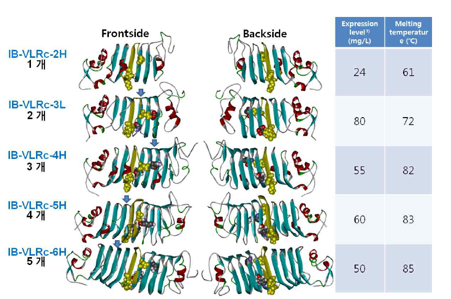 The final snapshot of each protein. The front side (left) and back side (right) views are indicated. The variable residues are represented by CPK model. Commonly presented VLR module 3 is displayed by yellow