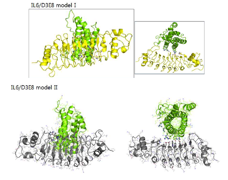 D3E8 인공항체와 IL6 단백질의 결합모드에 대한 모델 I과 II