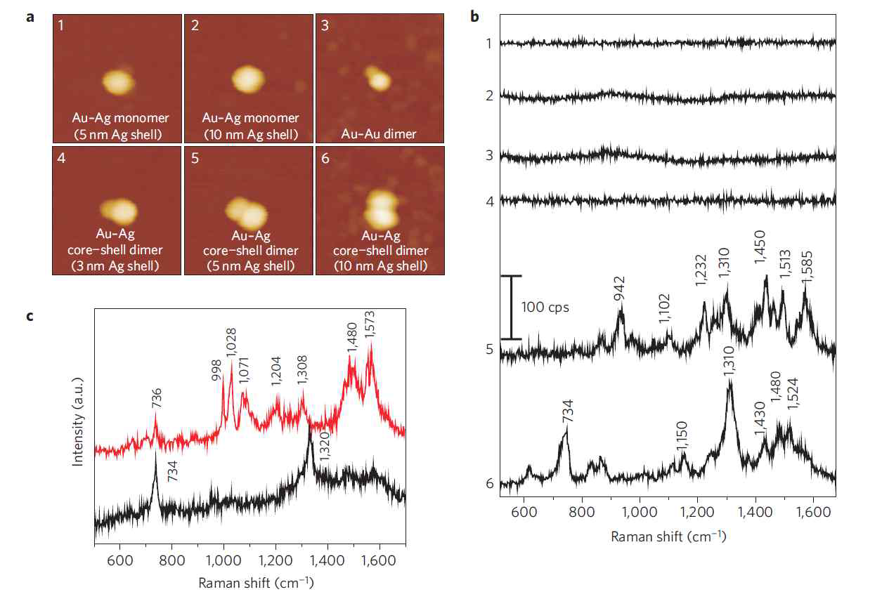AFM과 Raman 분광학를 이용하여 Au nanoparticle dimer gap에 존재하는 단일분자(Cy3) SERS를 측정(D. -K. Lim et al., Nature Materials 9, 60 (2010))