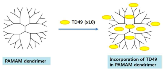 PAMAM 덴드리머를 이용한 난용성 TD화합물의 가용화 및 탑재