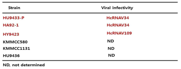 HcRNAV VLP의 숙주 특이성을 조사하기 위해 사용된 H . circularisquama 종