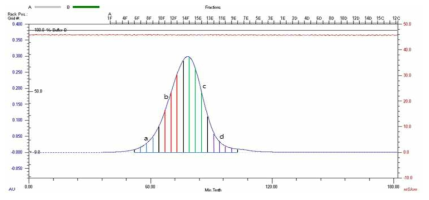 VLP형성 과정을 거친 HcRNAV34 캡시드 단백질의 Size Exclusion Chromatography 결과와 4부분의 fraction