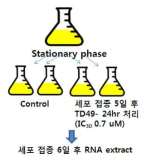 RNA를 추출하기 위한 세포 전처리 과정의 모식도