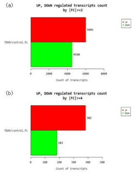 TD49를 처리하지 않은 대조군에 대한 실험군의 전사체 발현 차이(fold change)가 (a)2배, (b)4배 이상 나는 transcript 수 비교