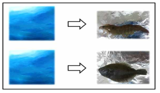 Fenneropenaeus chinensis and Paralichthys olivaceus samples