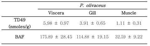 Bioaccumulation factors of TD49 for P. olivaceus