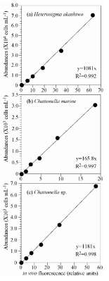 Relationship between cell density and in vivo chlorophyll fluorescence of Heterosigma akashiwo, Chattonella marina and Chattonella sp