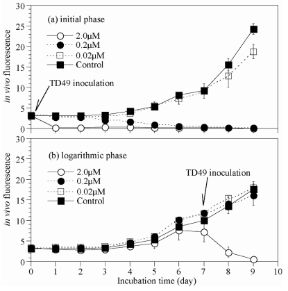 Growth of Chattonella marina at lag and logarithmic growth phase in cultures inoculated with concentration levels (0.02, 0.2 and 2 μM) of TD49 substance. Controls were algal cultures without TD49 substance. Error bars represent the standard deviation of triplicate samples