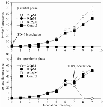 Growth of Chattonella sp. at lag and logarithmic growth phase in cultures inoculated with concentration levels (0.02, 0.2 and 2 μM) of TD49 substance. Controls were algal cultures without TD49 substance. Error bars represent the standard deviation of triplicate samples