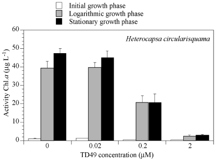 Changes in active Chl. a concentration of Heterocapsa circularisquama after TD49 substance in oculation in three (lag, logarithmic and stationary) growth pahses. Error bars represent the standard deviation of triplicate samples