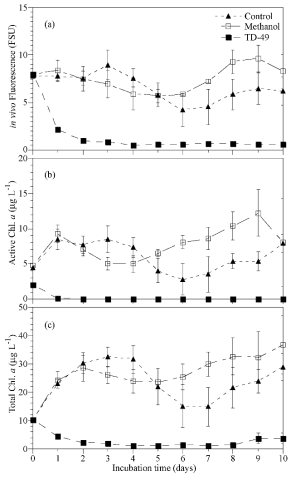 Changes in in vivo fluorescence (a), Active Chl. a (b) and Total Chl. a (c) of Heterosigma akashiwo. Error bars represent the standard deviation of triplicate samples