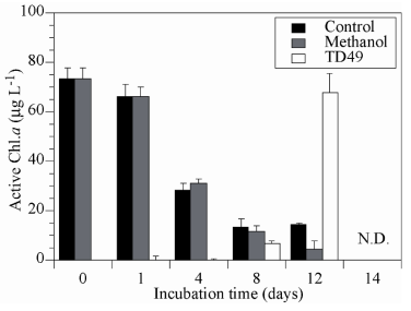 Changes in active chl.a of Akashiwo sanguinea in small scale experiments (SS). Error bars represent the standard deviation of triplicate samples