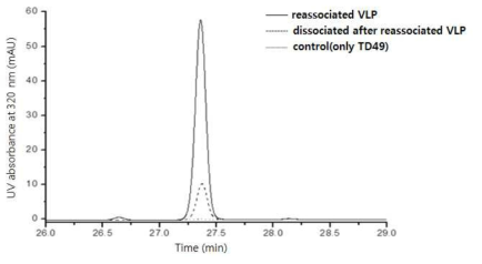 Detection of TD49 encapsulated in reassociated VLPs and dissociated VLPs after reassociation process