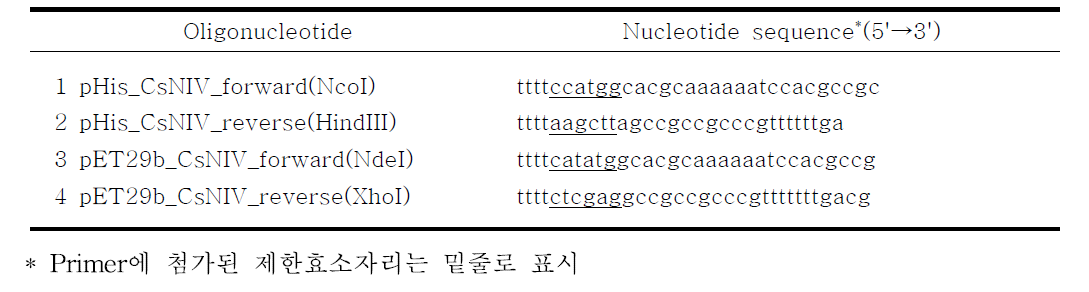 CsNIV ORF3를 증폭시키기 위해서 사용된 oligonucleotide primer