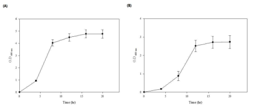 Effect of agitation and aeration on the growth of recombinant HcRNAV34 capsid protein in E.coli BL21(DE3); (A). LB medium (B). M9 mineral medium