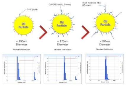 서로 다른 이멀전의 오일 방울 평균 크기와 크기 분포 그래프 (왼쪽: 오로지 DSPC만 사용한 경우, 중간: 왼쪽 경우에 추가로 DSPE-PEG2000-maleimide를 사용한 경우, 오른쪽: 중간 경우에 추가로 TBA-lipids를 사용한 경우)