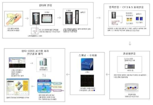 유리슬라이드키트의 간암진단지원시스템의 검사 단계