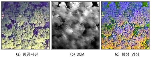DCM과 항공사진의 합성 과정