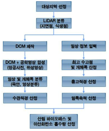 항공 LiDAR 자료를 이용한 산림 바이오매스의 산정 과정