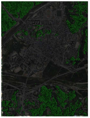 대상지역의 수목점과 10m × 10m 격자