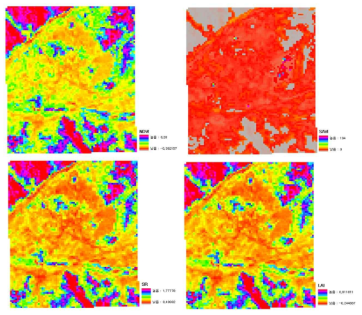 LANDSAT 영상의 식생지수