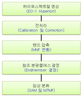 임상 분류 과정