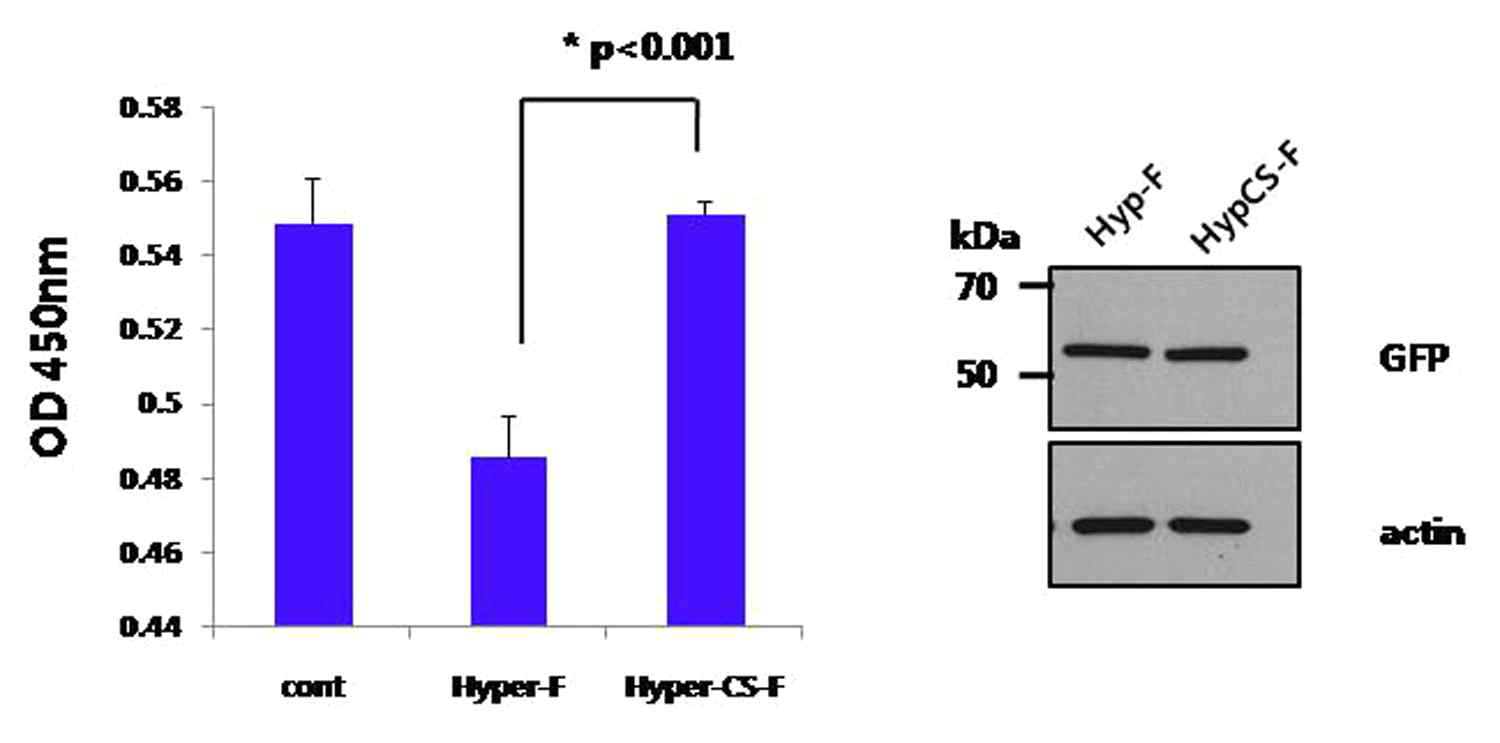 Wild type Hyper-F 또는 mutant Hyper-F를 Hela 세포에 30hr 발현시키고 MTT assay를 수행하여 세포 사멸을 측정하였음