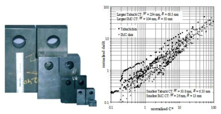 대형 및 소형 시편 크리프균열진전 실험 결과 비교 (Tabuchi M, Kubo K, Yagi K. 1991. Effect of specimen size on creep crack growth rate using ultra-large CT specimens for 1Cr-Mo-V steel. Engng. Fract. Mech., 40(2), 311-321.)