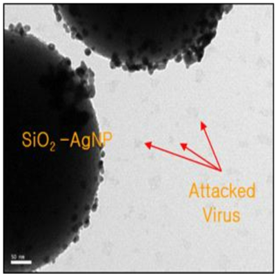 은나노복합물질과 반응한 바이러스 입자의 TEM 사진