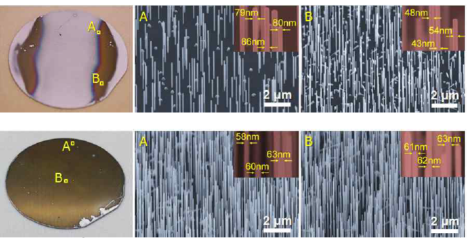 (상) 실리콘 기판에 표면 처리 없이 InAsP 나노선을 성장했을 때의 광학 및 전자현미경 사진 (하) poly-L-lysine 표면 처리에 의해서 웨이퍼 전면적에 균일성장된 InAsP 반도체 나노선 배열