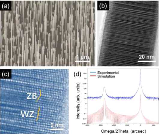 (a)45〫방향에서 촬영한 InAs 나노선의 SEM 이미지 성장온도(540℃), Ⅴ/Ⅲ ratio(23) (b)InAs 나노선의 TEM이미지 (c)zincblende(ZB)와 wurtzite(WZ)의 High-resolution TEM 이미지 (d) 시뮬레이션, 실험상의 XRD spectra